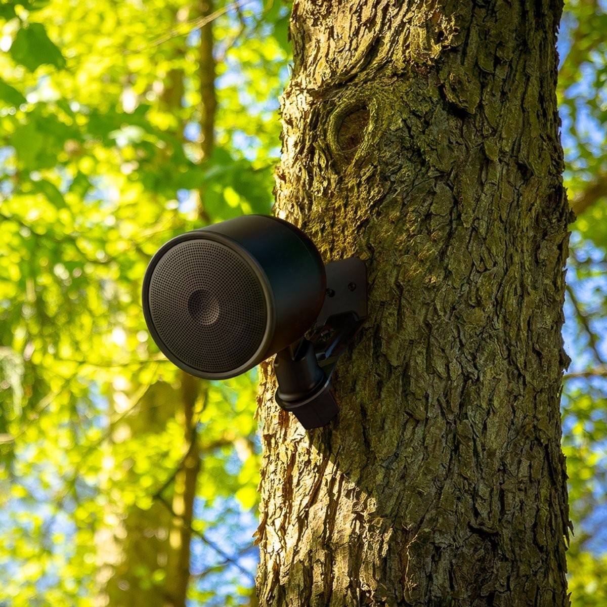 KEF SR4Q 4.5” Uni-Q Outdoor Landscape Satellite Speakers (Set of 4)