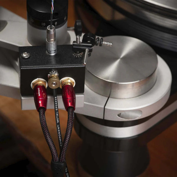 AudioQuest Black Hole Groundgoody Ground Wire Plugged