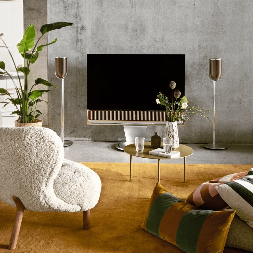 Bang & Olufsen Beolab 8 Wireless Speaker