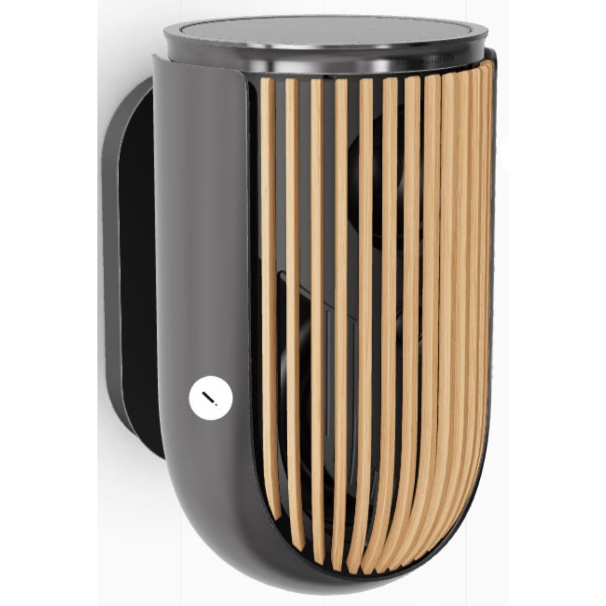 Bang & Olufsen Beolab 8 Wireless Speaker