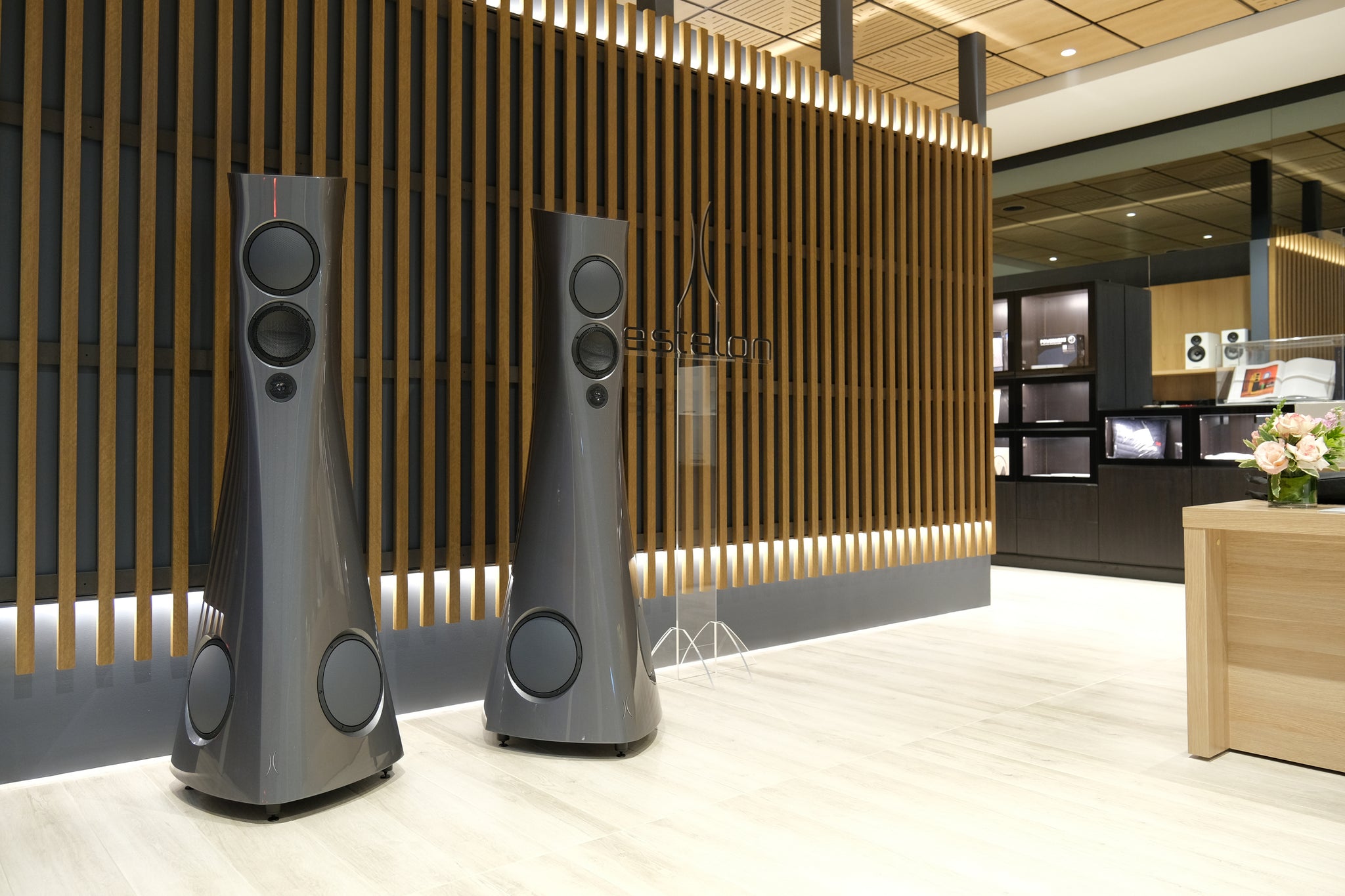 Hi-Fi Sydney | Audio Connection Australia | Best Wireless Speakers