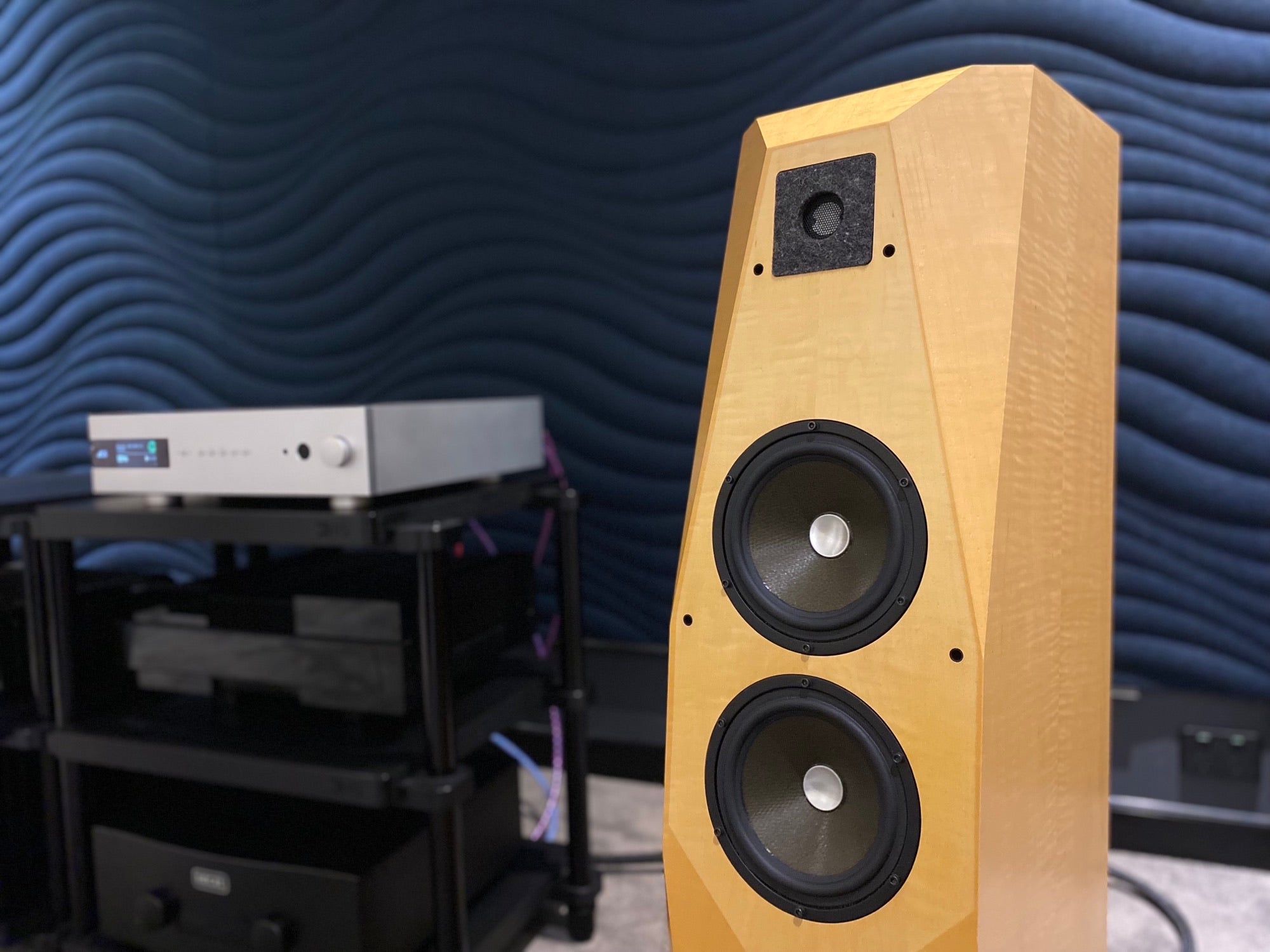 Avalon Acoustics Transcendent Speakers - Consignment