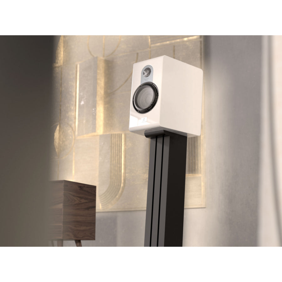 Marten Parker Duo Bookshelf Speaker