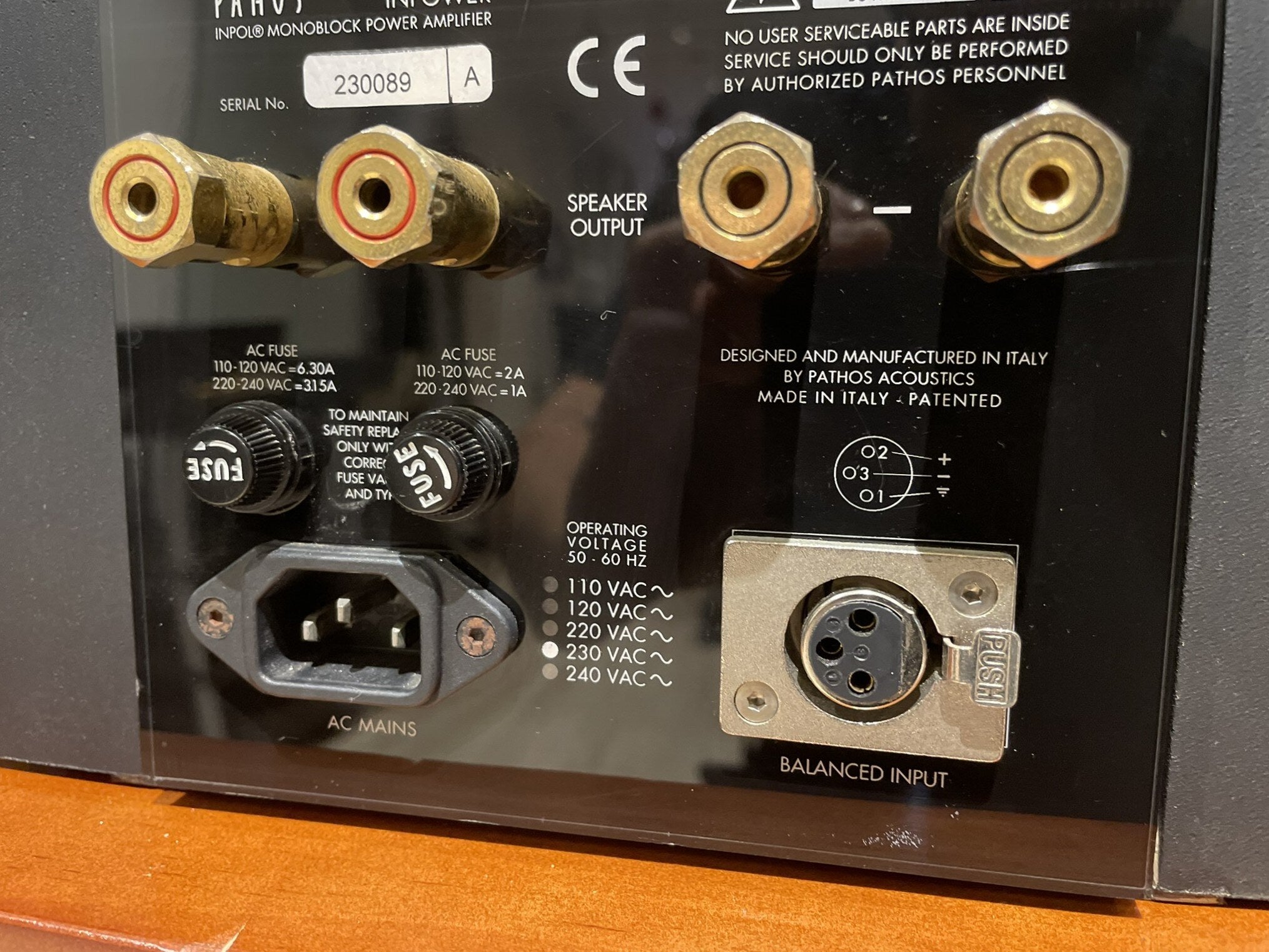 Pathos In-Power MkI Monoblocks - As Traded