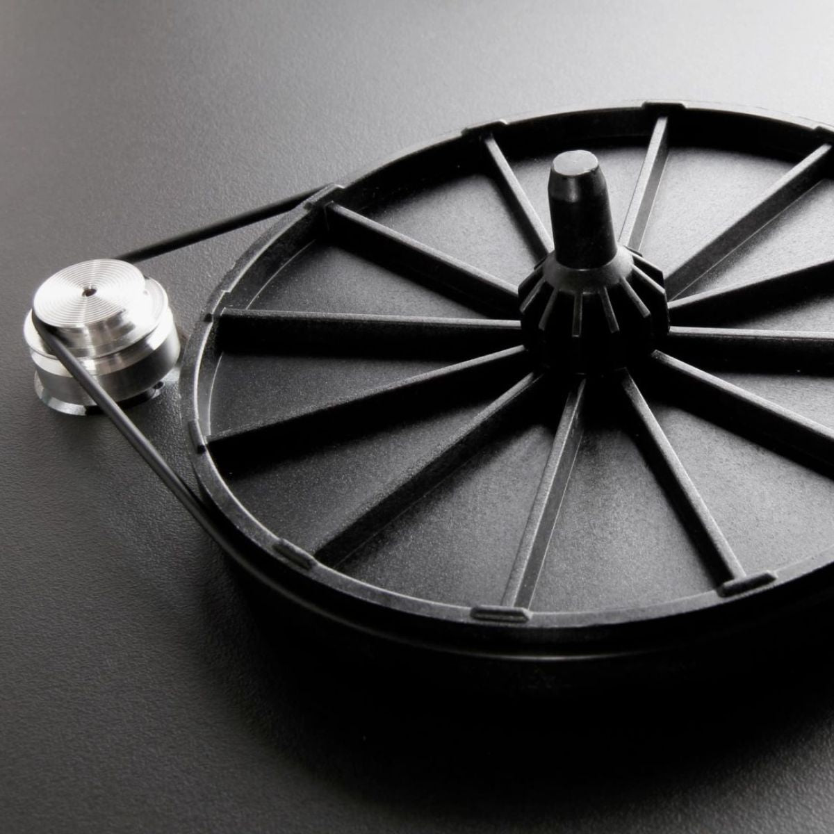 Rega Planar 1 Turntable bearing