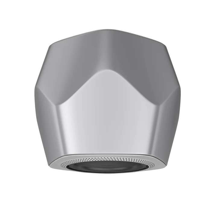 Bang & Olufsen Beolab 19 Wireless Powered Subwoofer