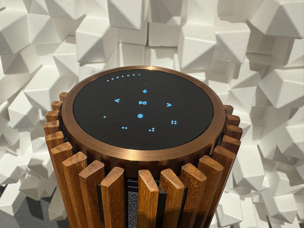 Bang & Olufsen Beolab 28 Wireless Stereo Speakers, Bronze - Consignment