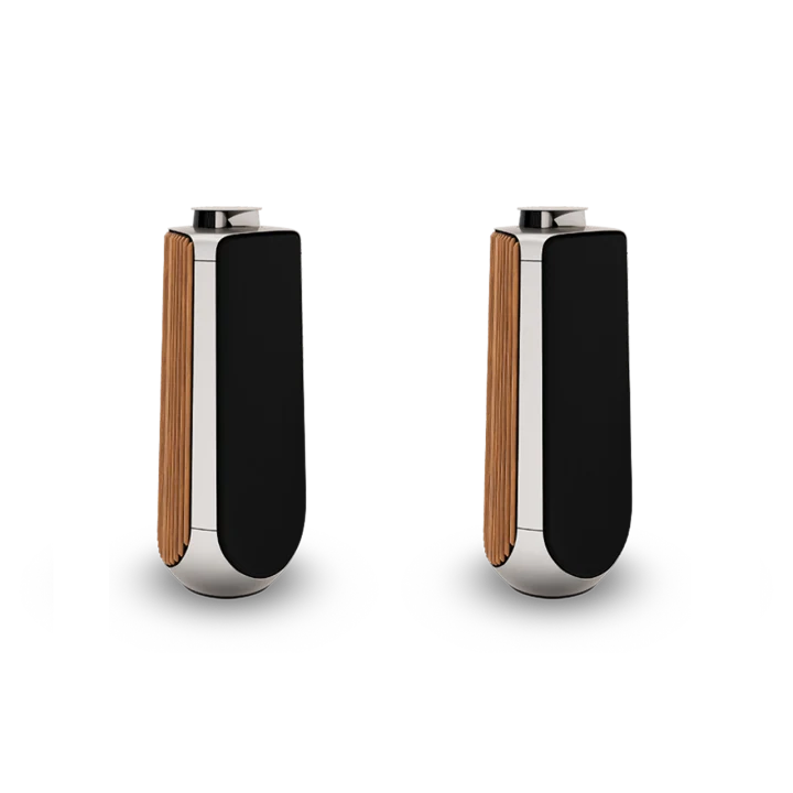 Beolab 50 Powered Stereo Speakers
