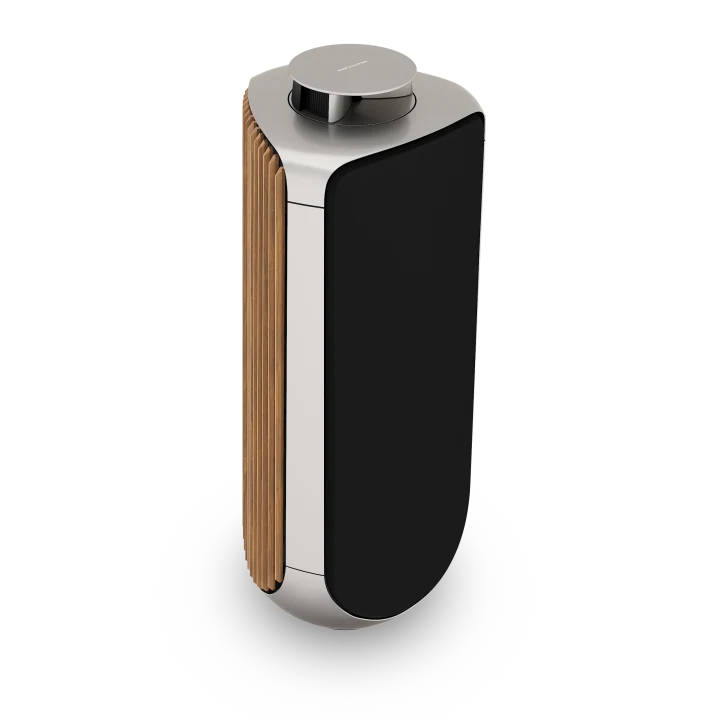 Beolab 50 Powered Stereo Speakers
