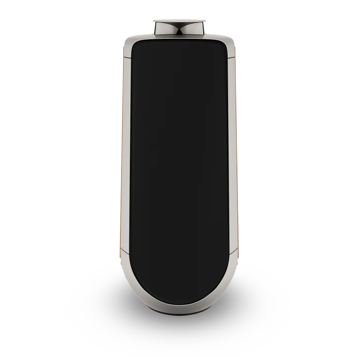 Beolab 50 Powered Stereo Speakers
