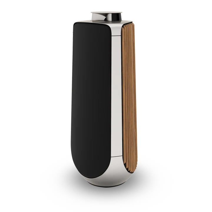 Beolab 50 Powered Stereo Speakers