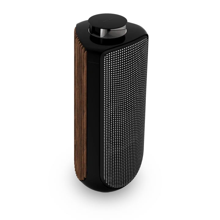 Beolab 50 Powered Stereo Speakers