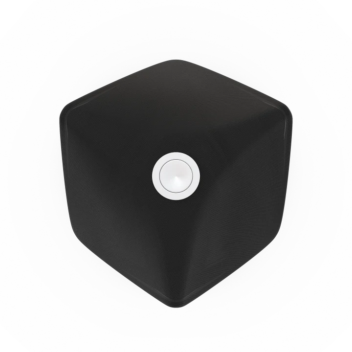 Beolab 90 Powered Speakers