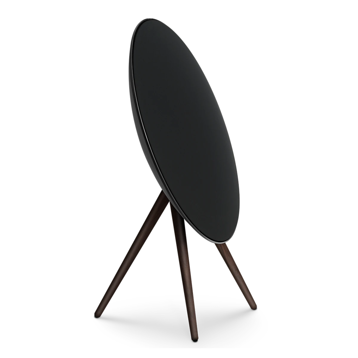 Beosound A9 5th Gen Designer Wireless Speaker