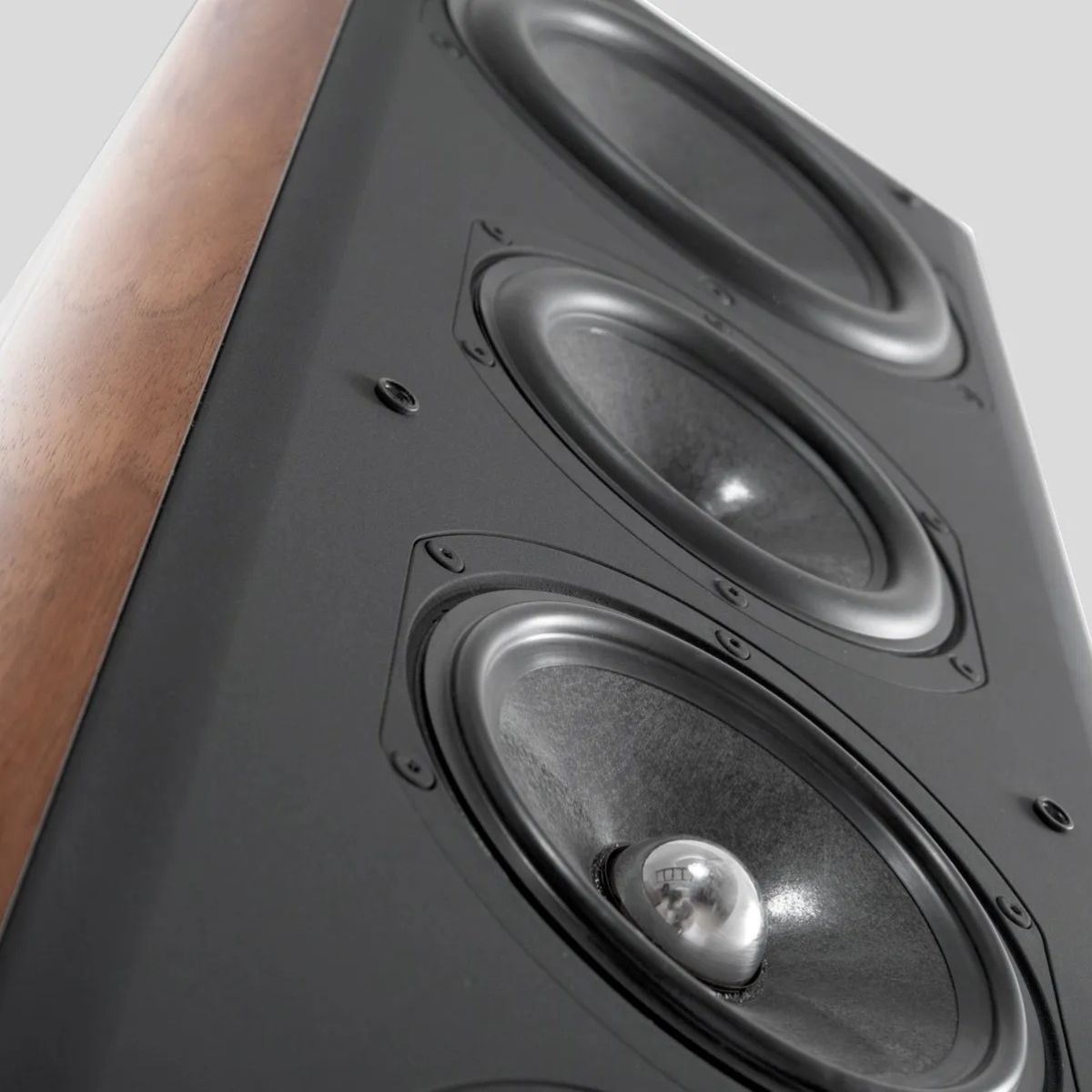 Chario Academy Serendipity Floorstanding Speakers
