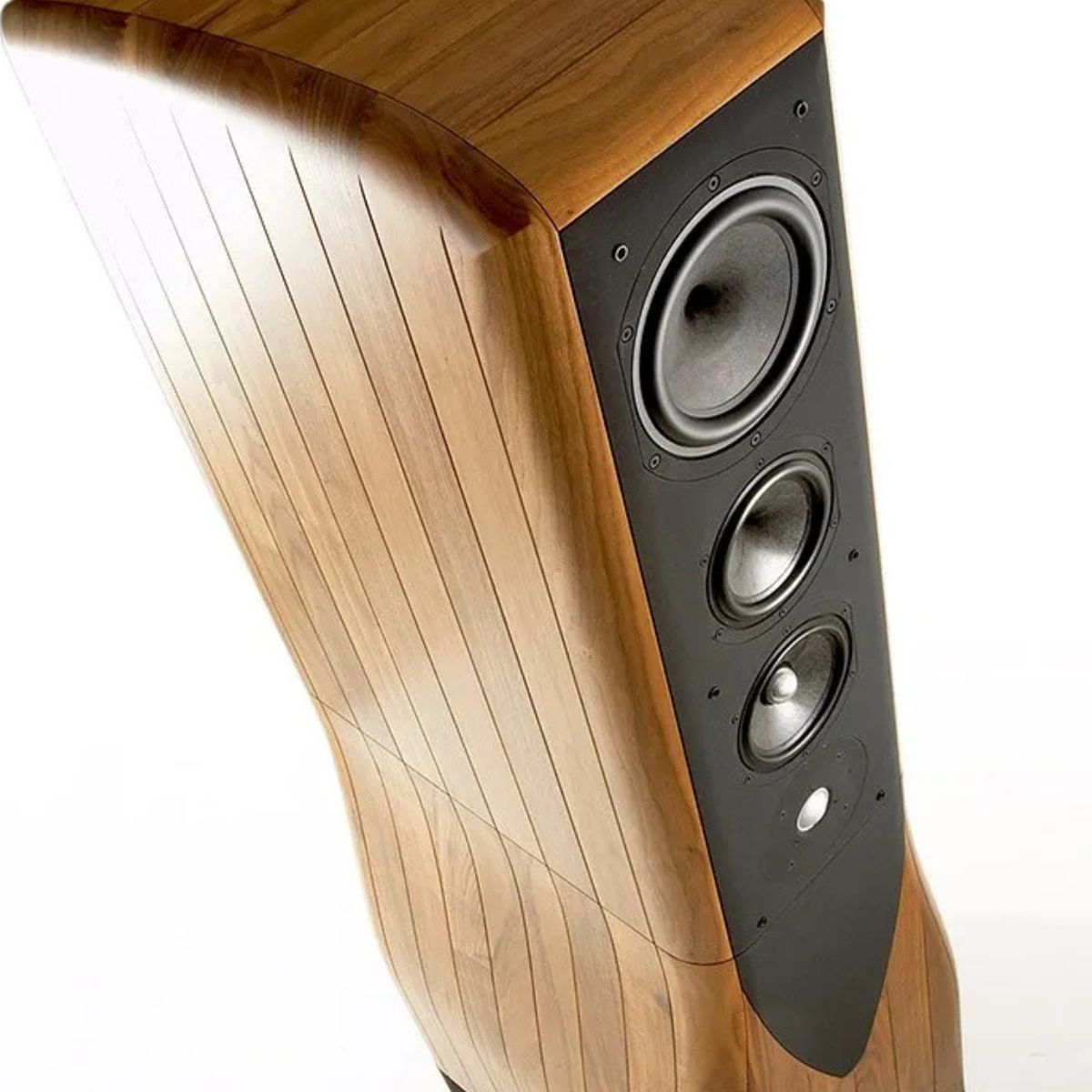 Chario Academy Serendipity Floorstanding Speakers