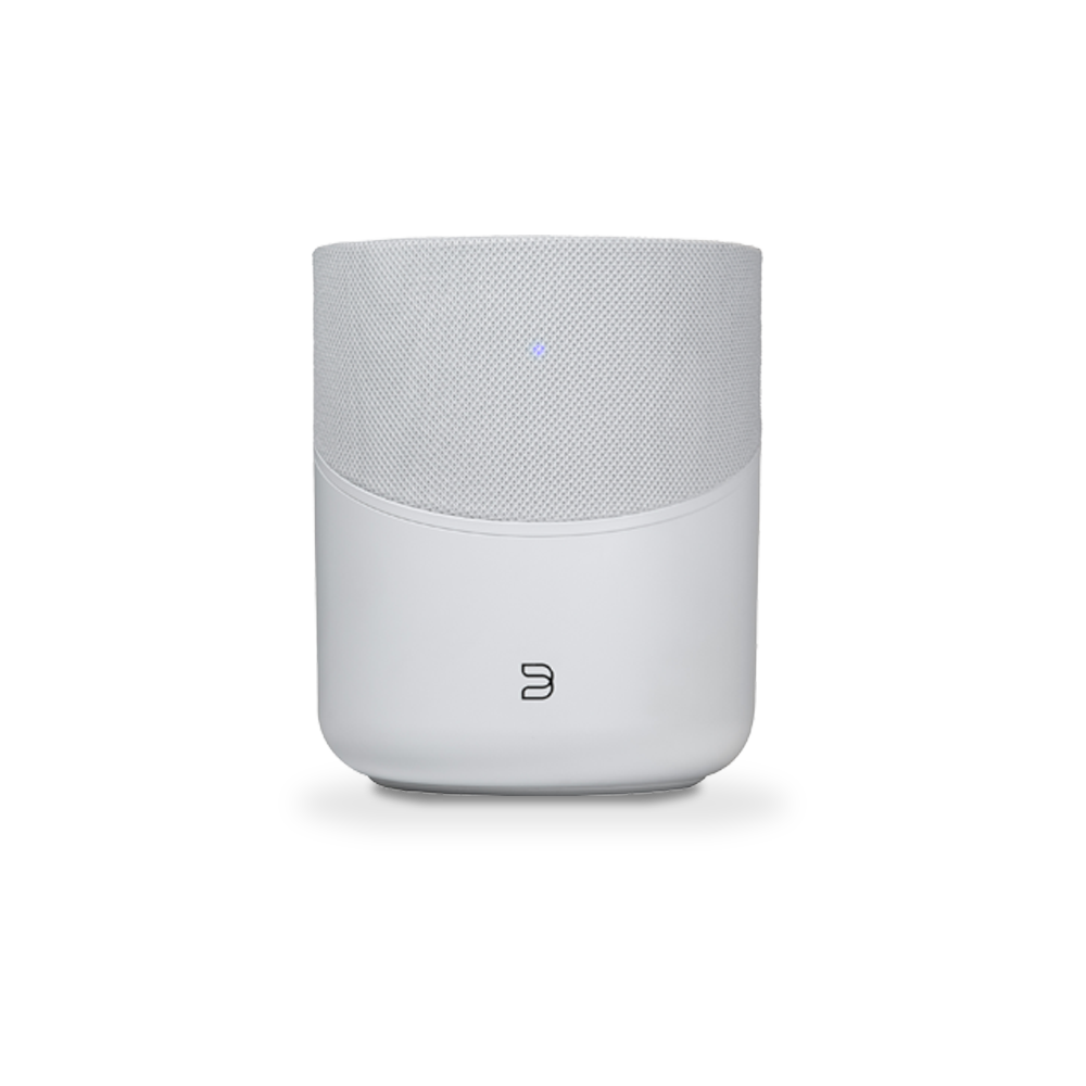 Bluesound PULSE M Wireless Streaming Speaker