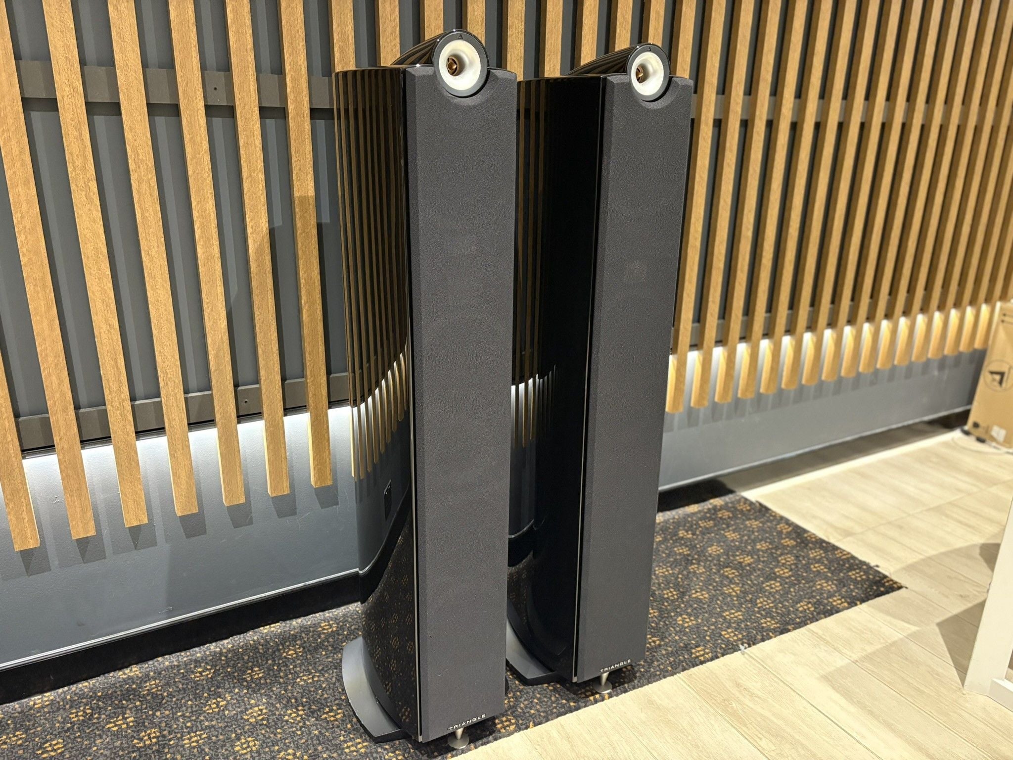 Triangle Signature Alpha Floorstanding Speakers - Consignment