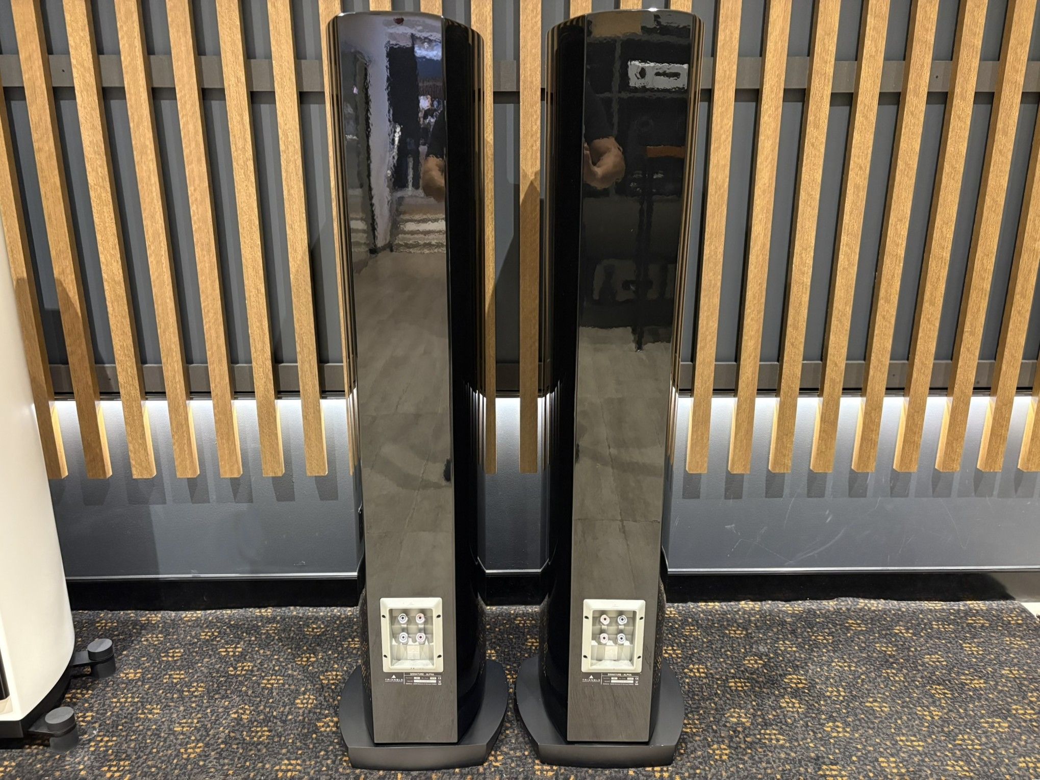 Triangle Signature Alpha Floorstanding Speakers - Consignment