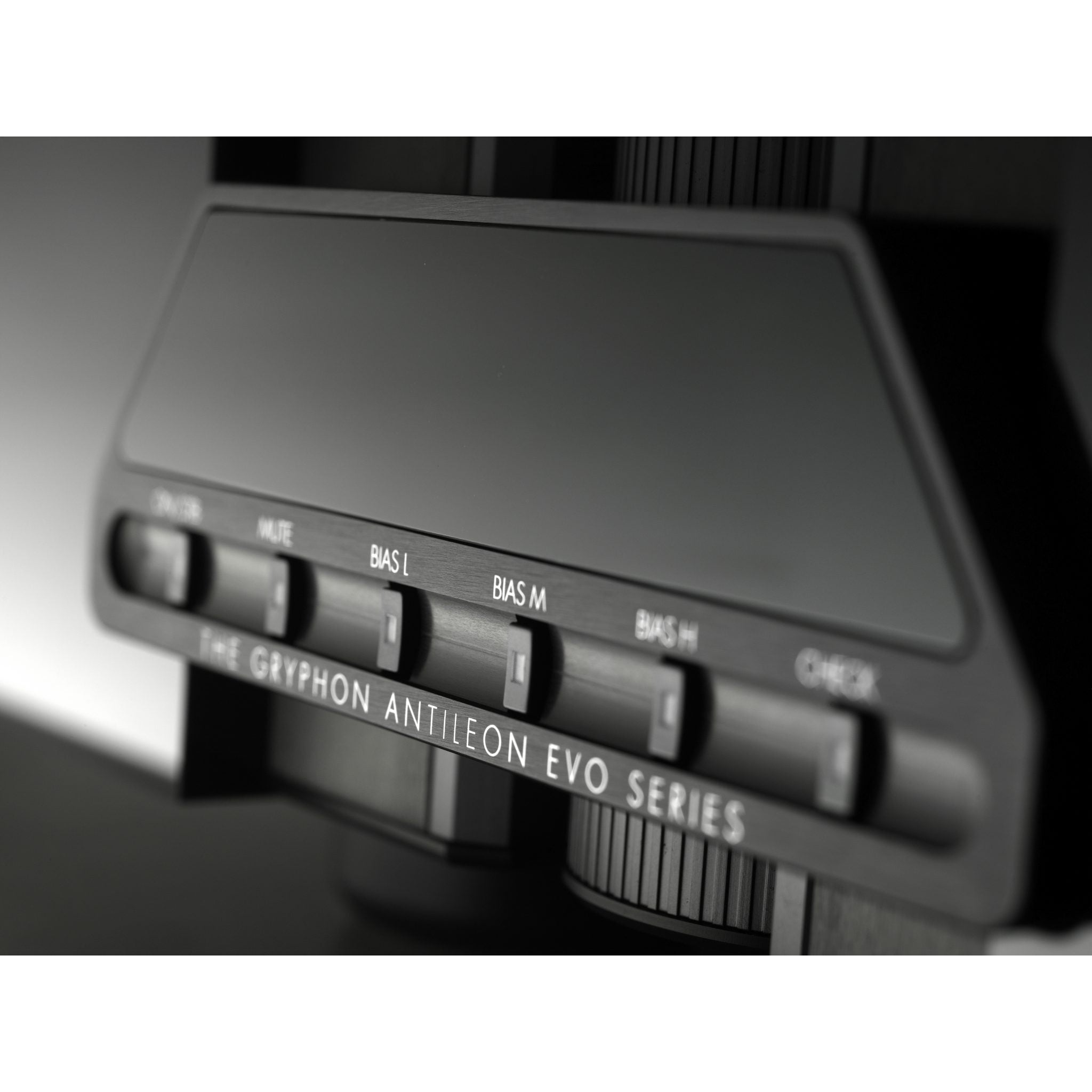 The Gryphon Antileon Evo Mono - Pair