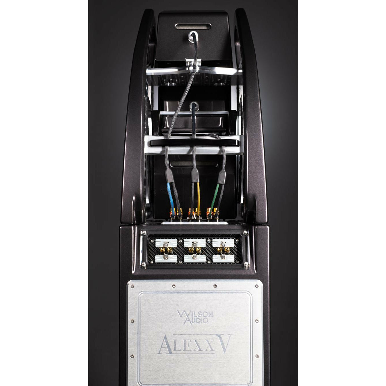 Wilson Audio Alexx V