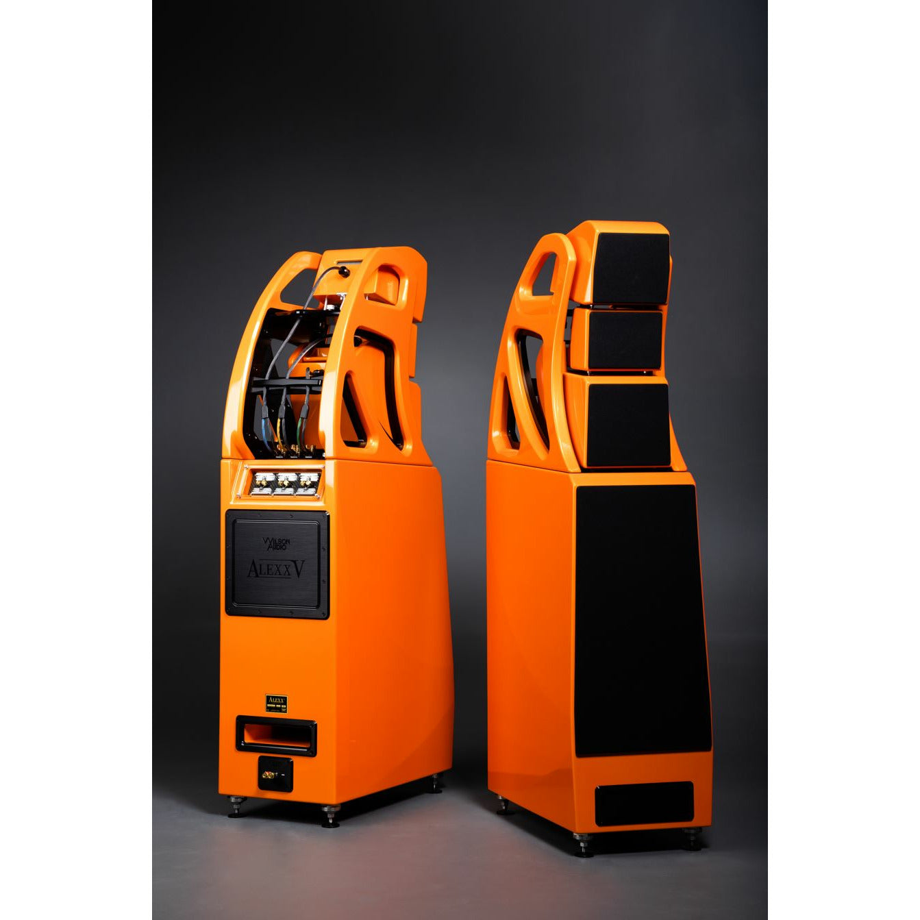 Wilson Audio Alexx V