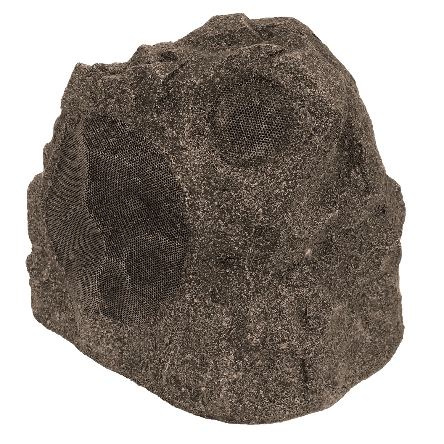 Proficient Audio Protege RS6 Rock Speaker