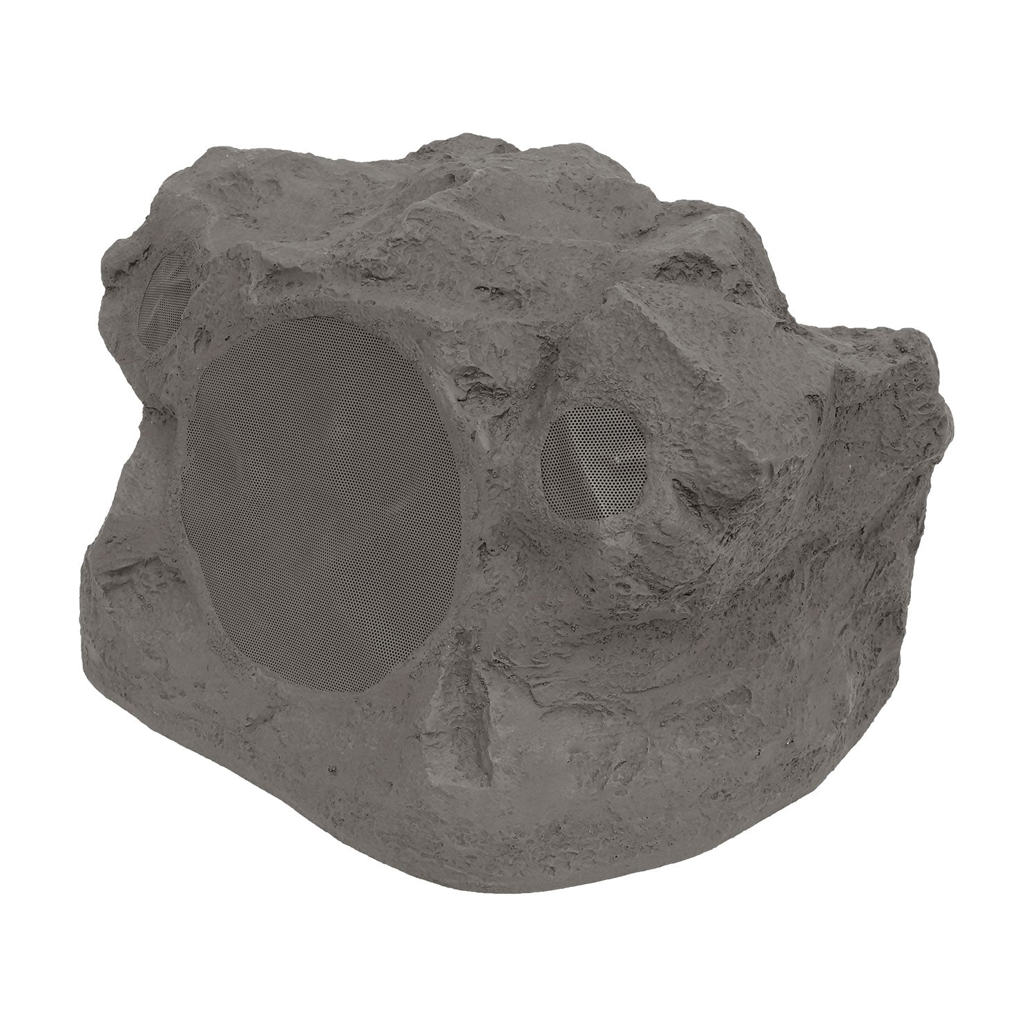 Proficient Audio Protege RS8Si Rock Speaker