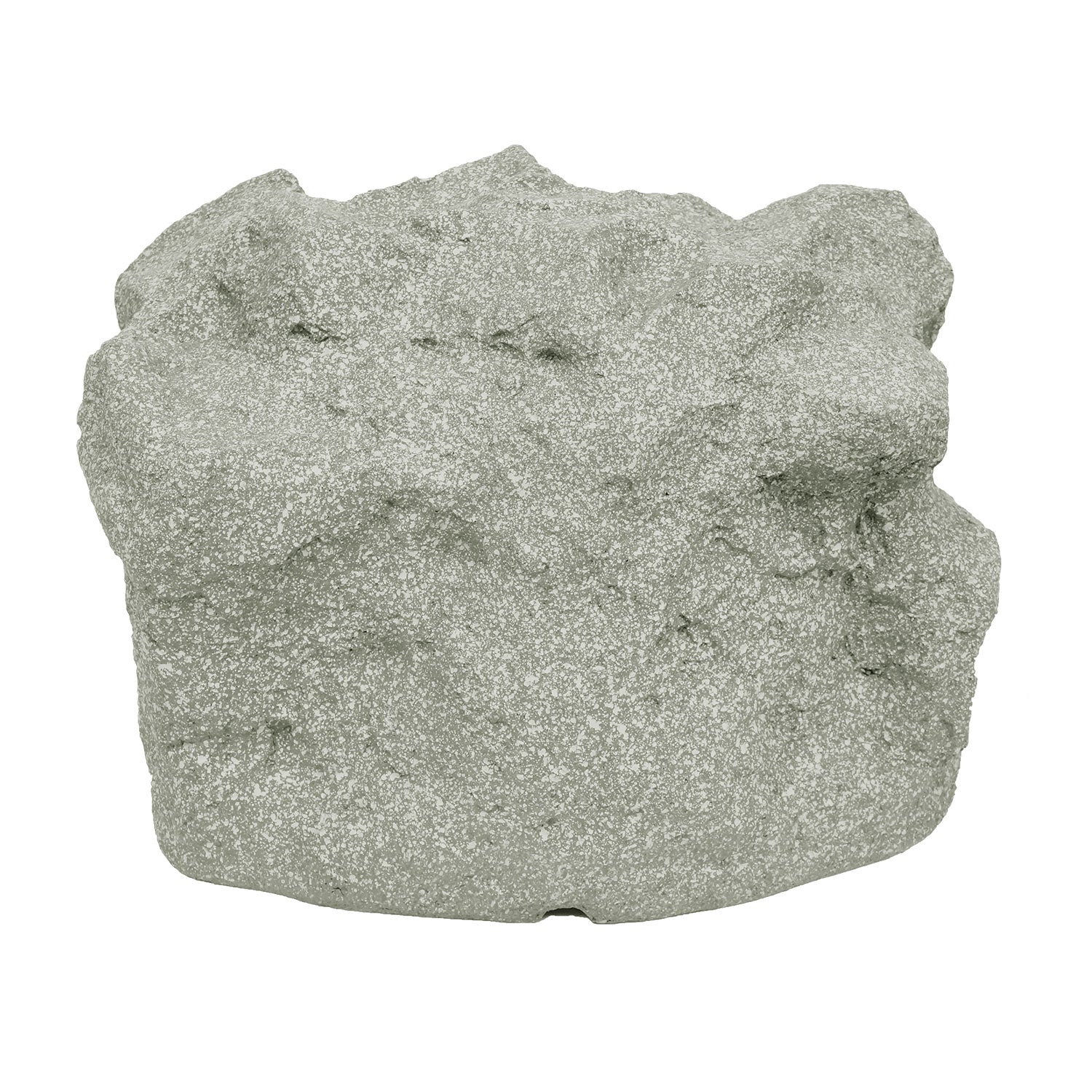 Proficient Audio Protege RS8Si Rock Speaker