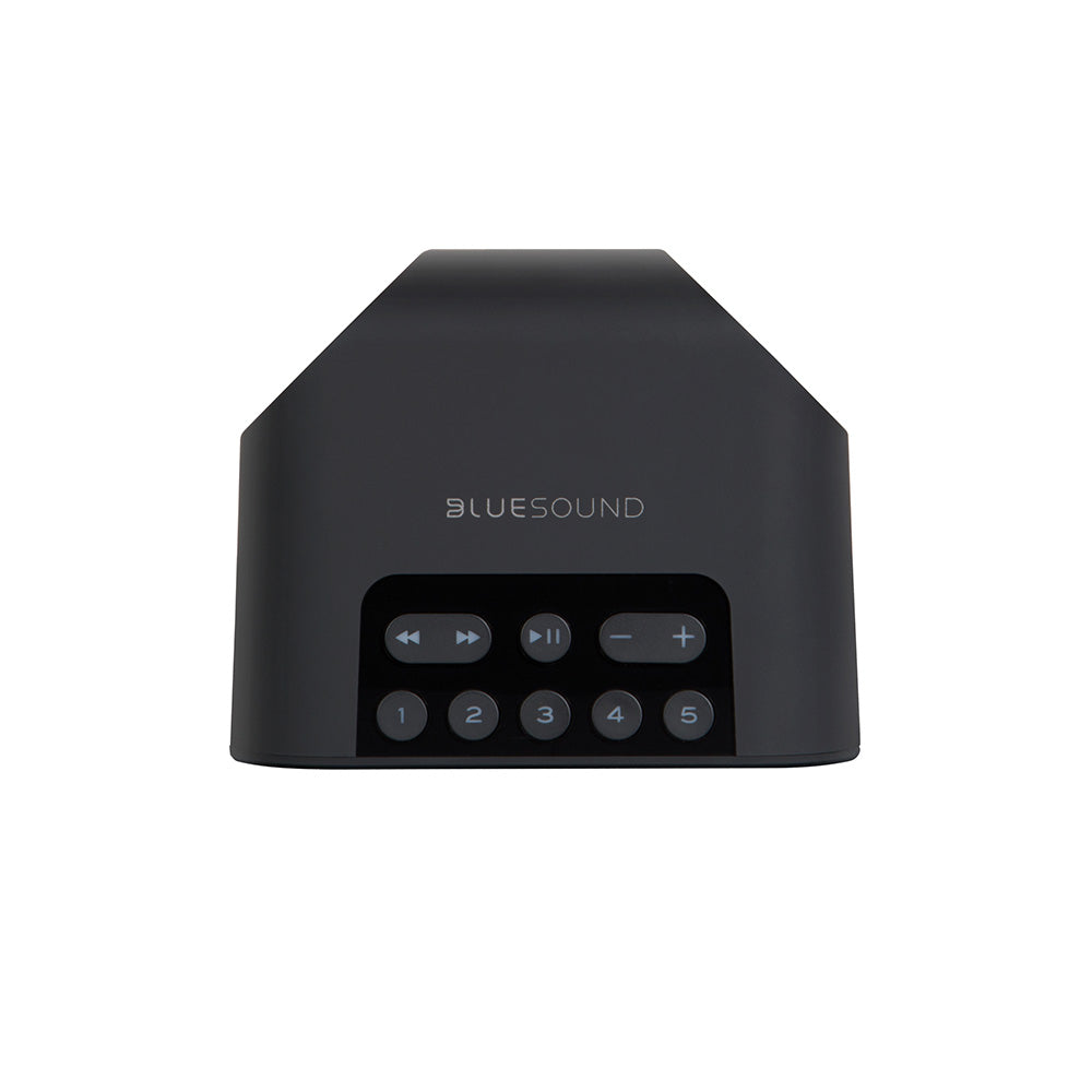 Bluesound FLEX 2i Bluetooth Speaker