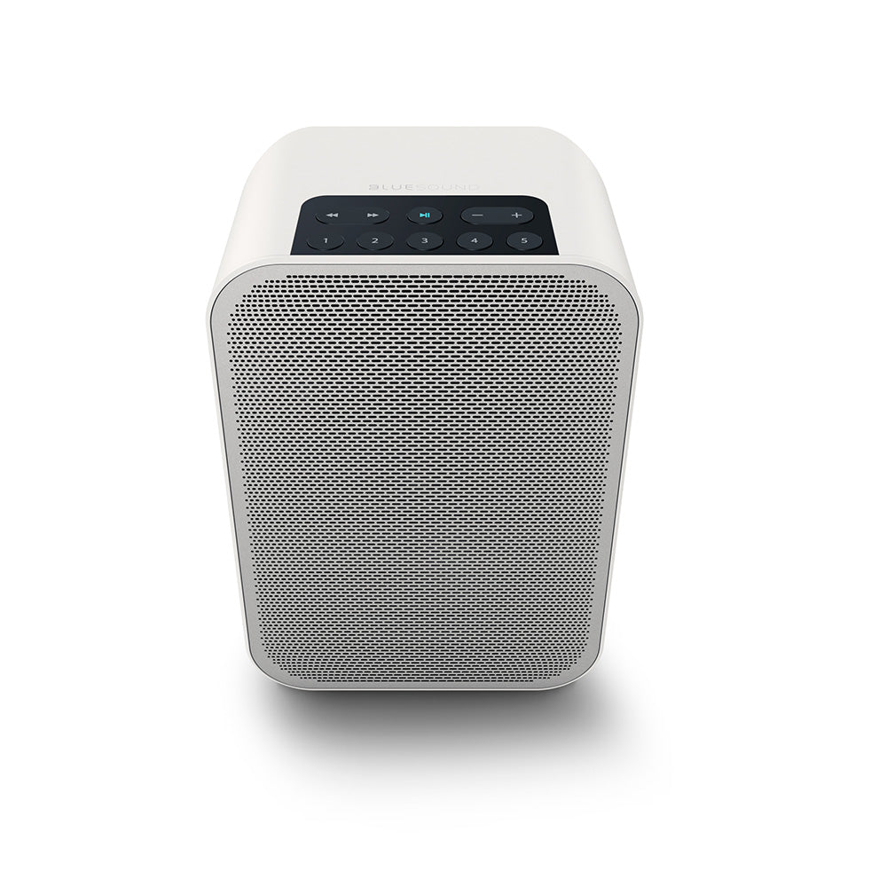 Bluesound FLEX 2i Bluetooth Speaker