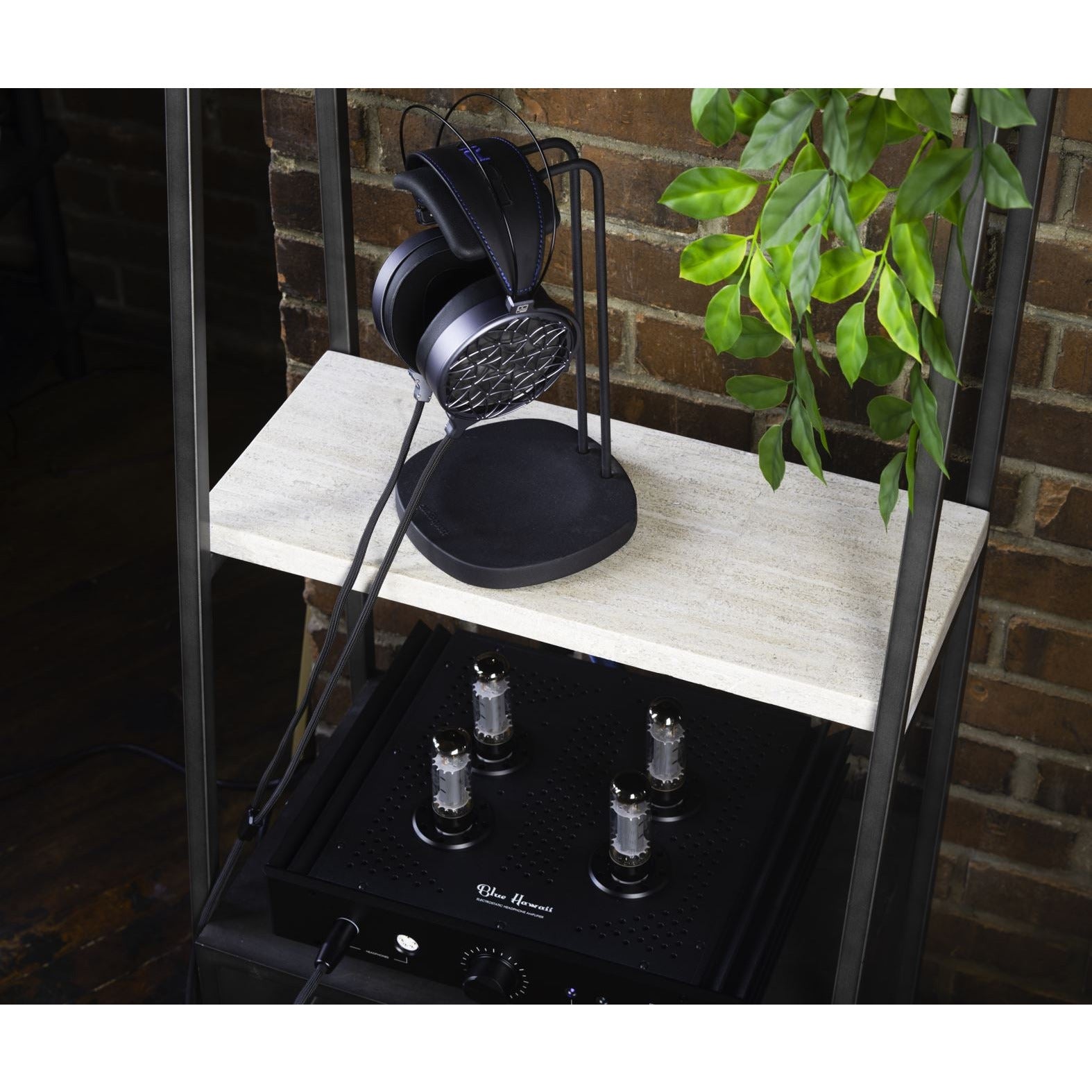 Dan Clark Audio Corina Reference Electrostatic Headphones on Stand