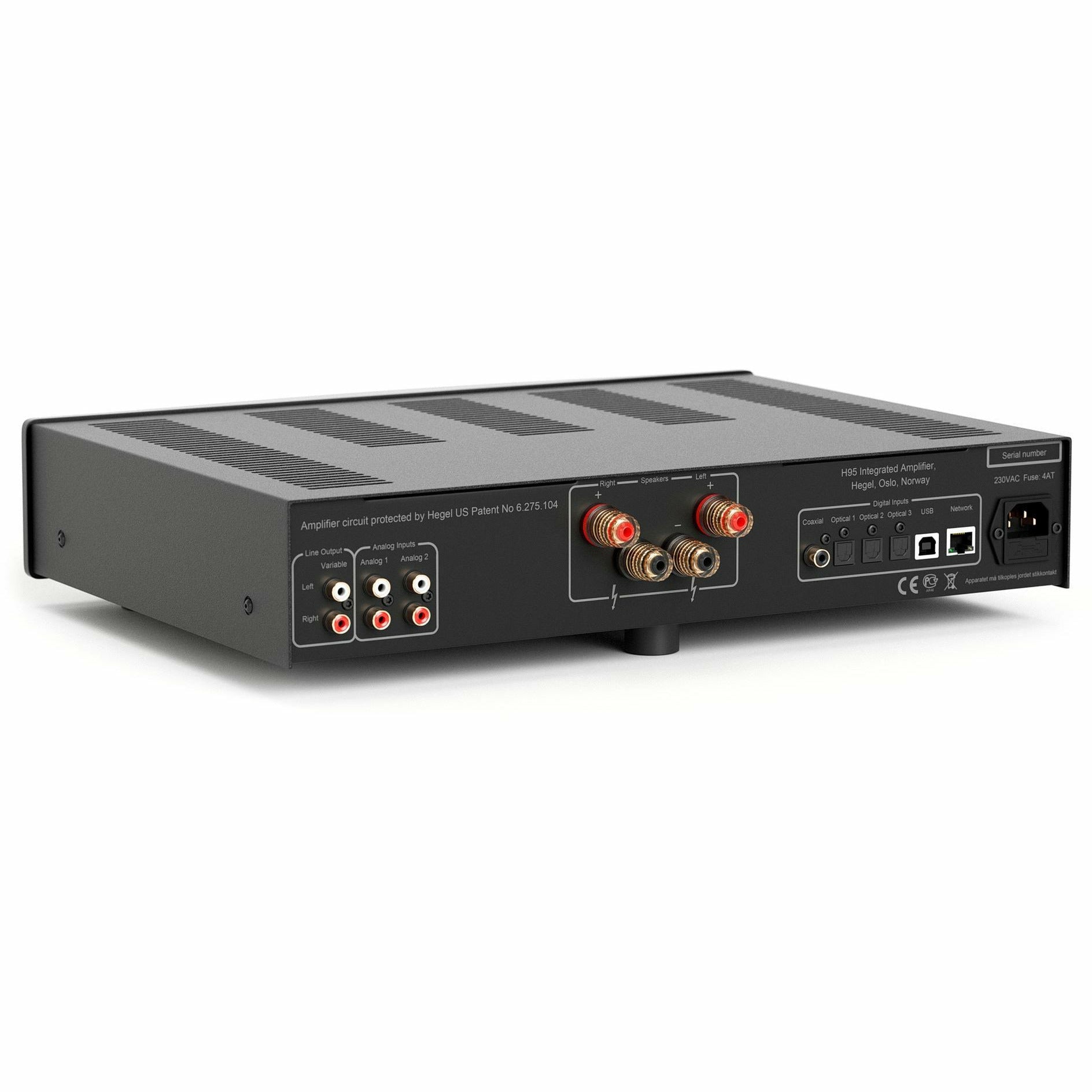 Hegel H95 Integrated Amplifier Rear Angle