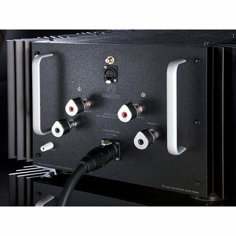Silver Pass Labs XS300 Monoblock Amplifier Rear Closeup