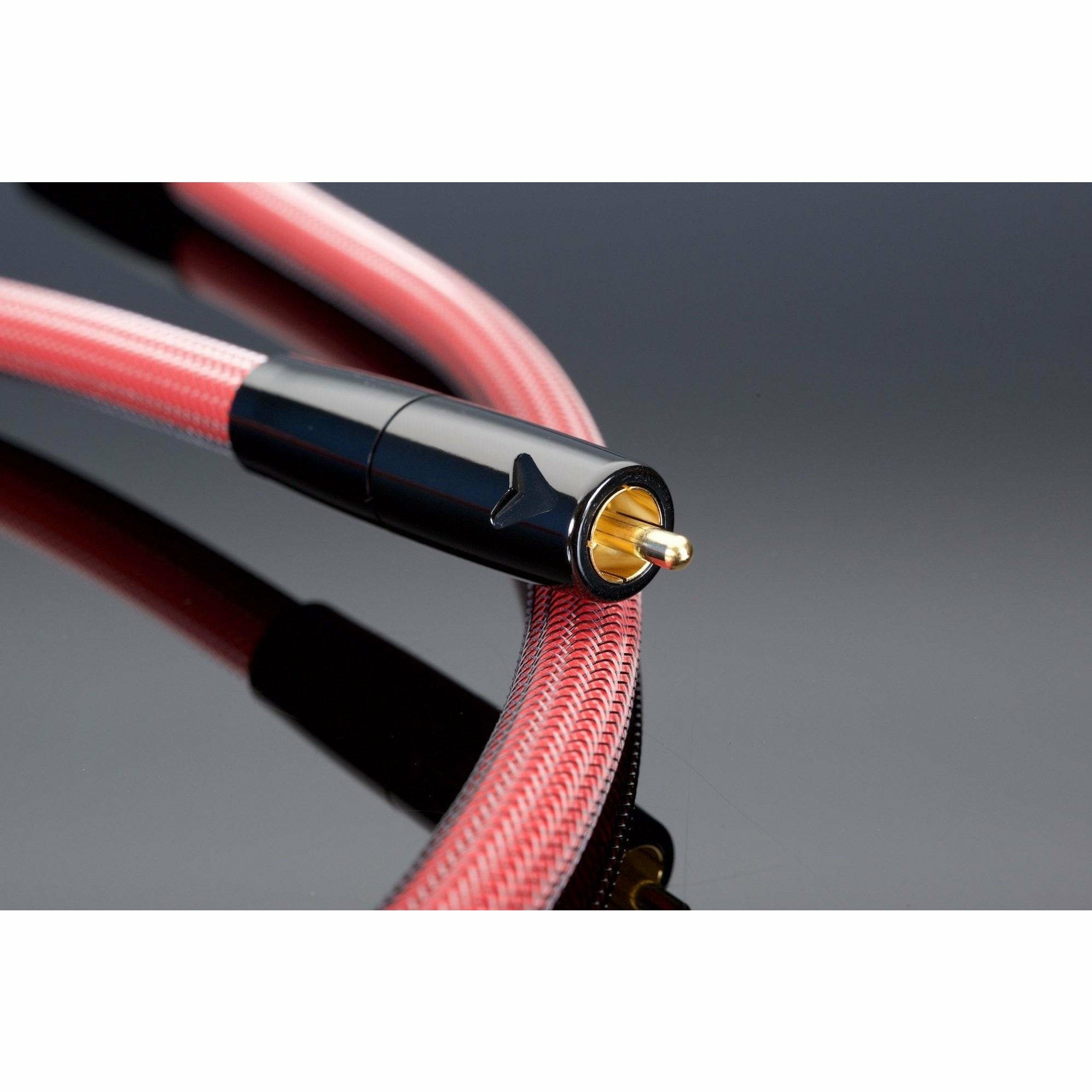 Transparent Reference Gen 6 Digital Link RCA Closeup