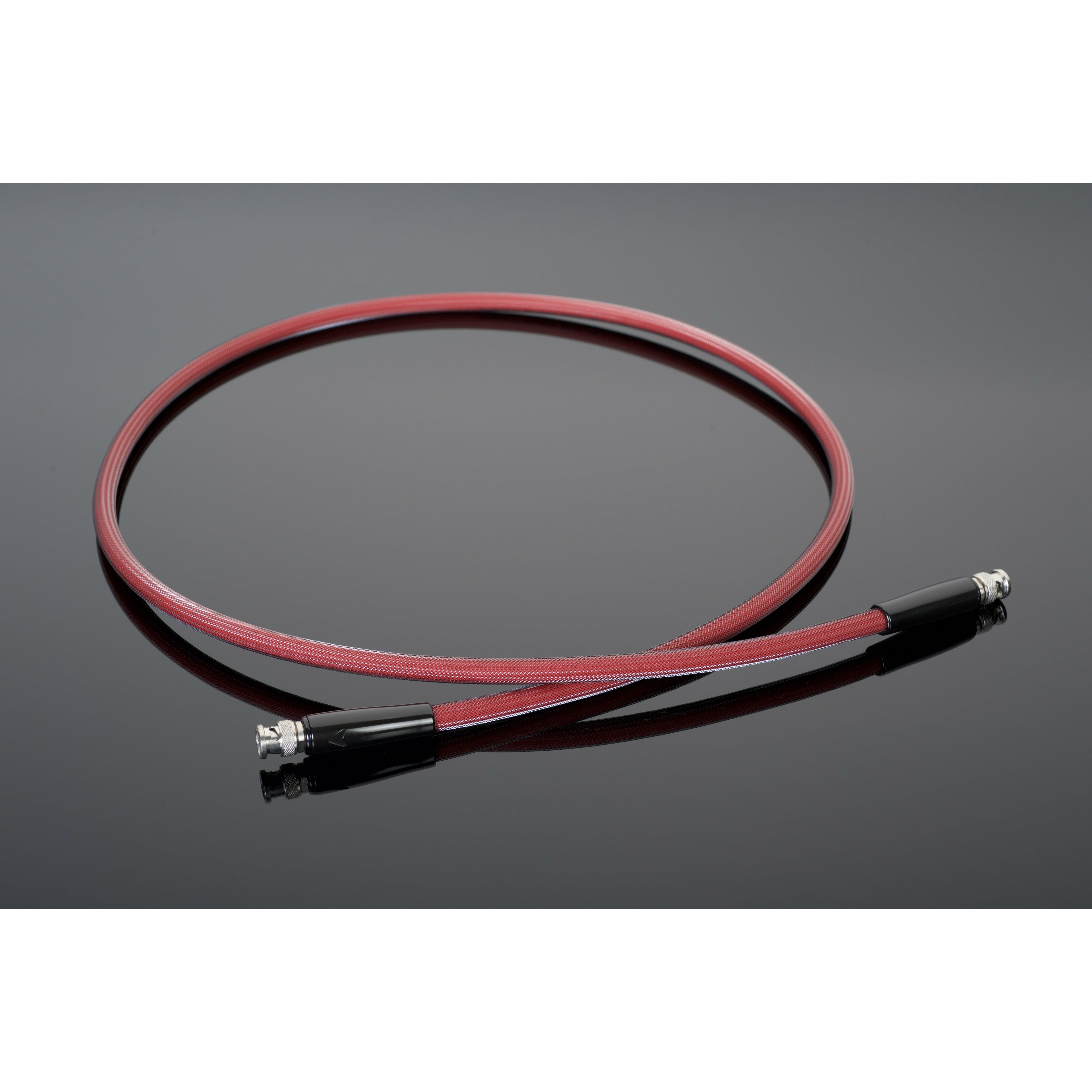 Transparent Reference Gen 6 Digital Link RCA
