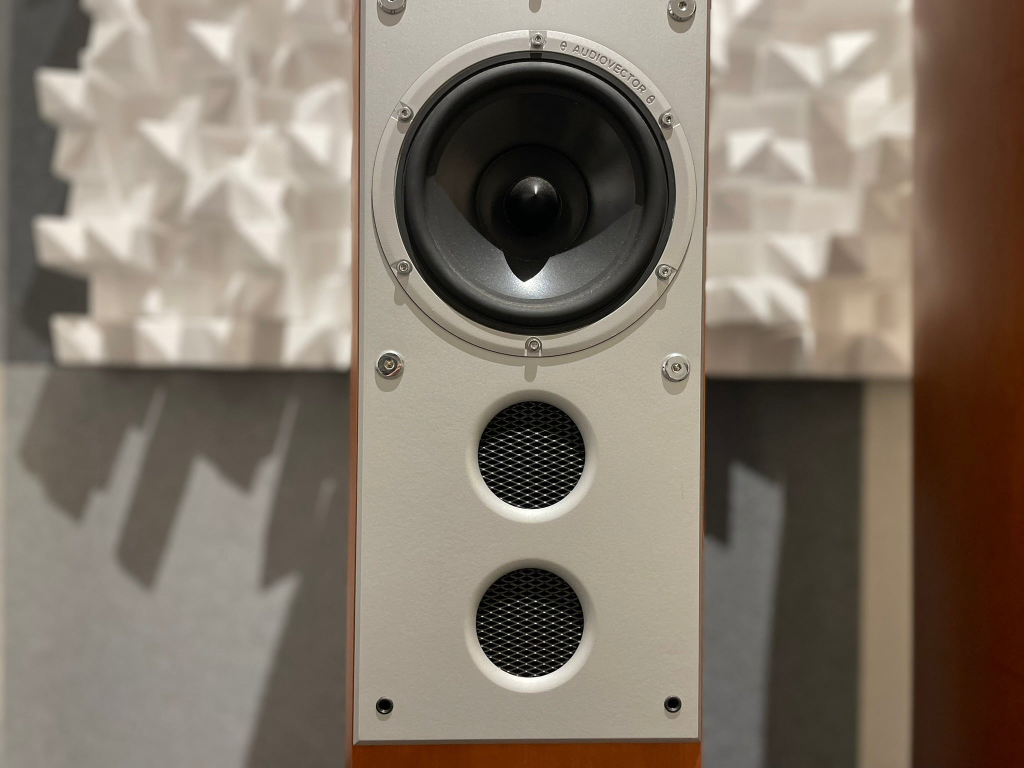 Audiovector Si6 Avantgarde Arrete Floorstanding Speakers - Consignment