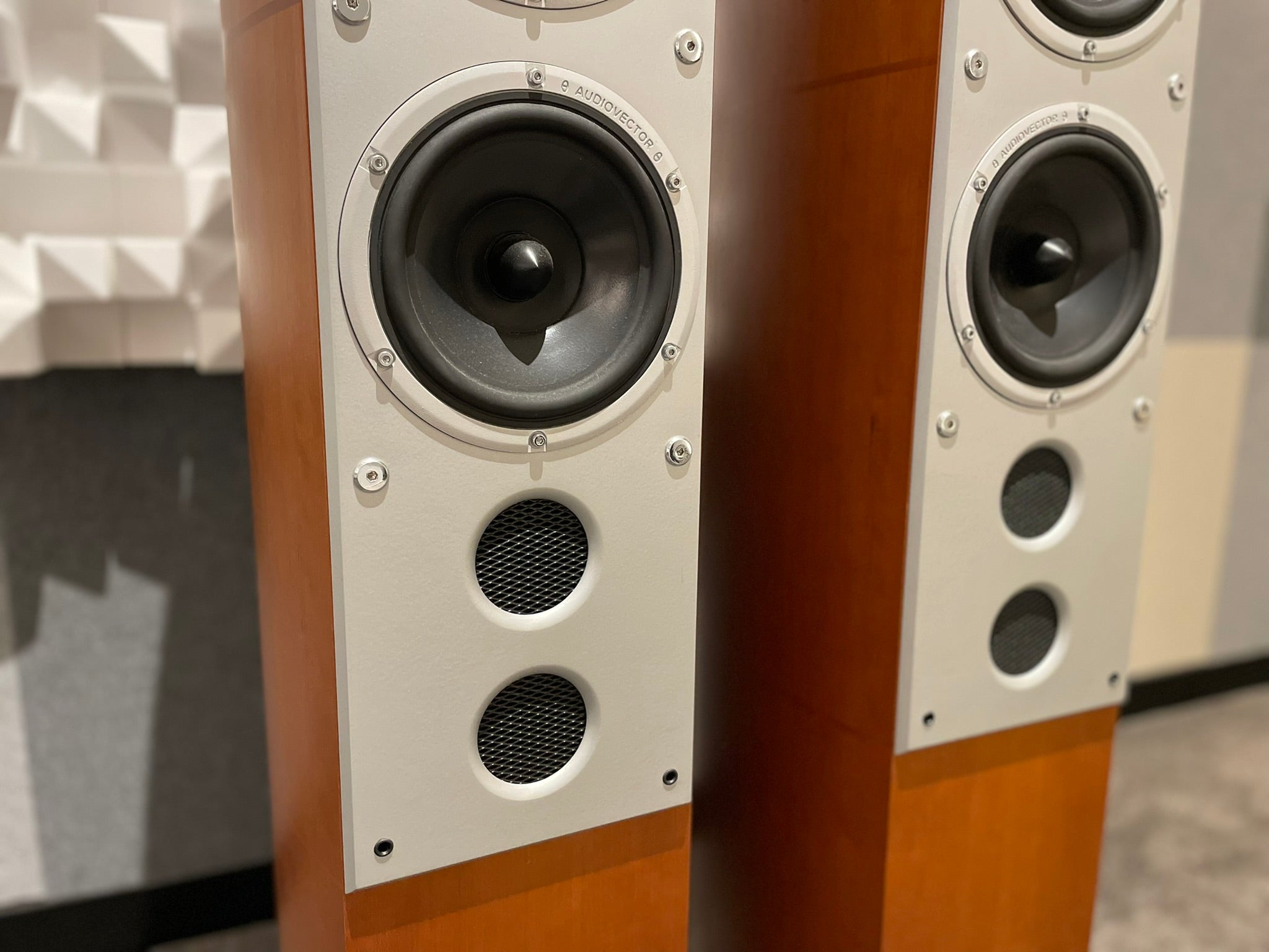 Audiovector Si6 Avantgarde Arrete Floorstanding Speakers - Consignment