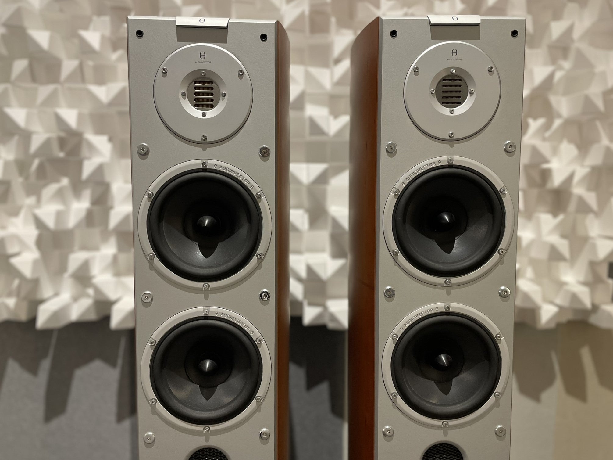 Audiovector Si6 Avantgarde Arrete Floorstanding Speakers - Consignment