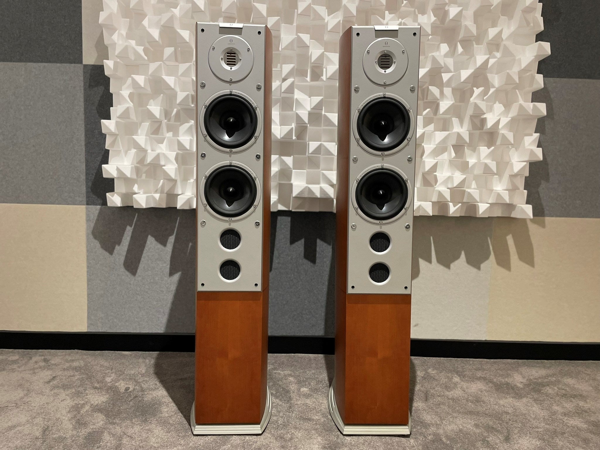 Audiovector Si6 Avantgarde Arrete Floorstanding Speakers - Consignment