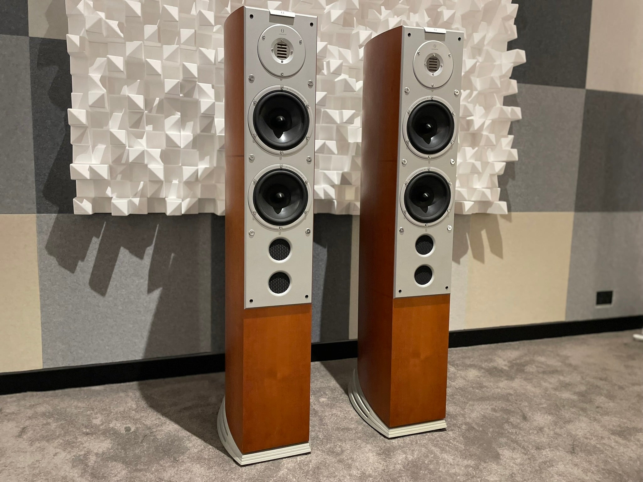 Audiovector Si6 Avantgarde Arrete Floorstanding Speakers - Consignment