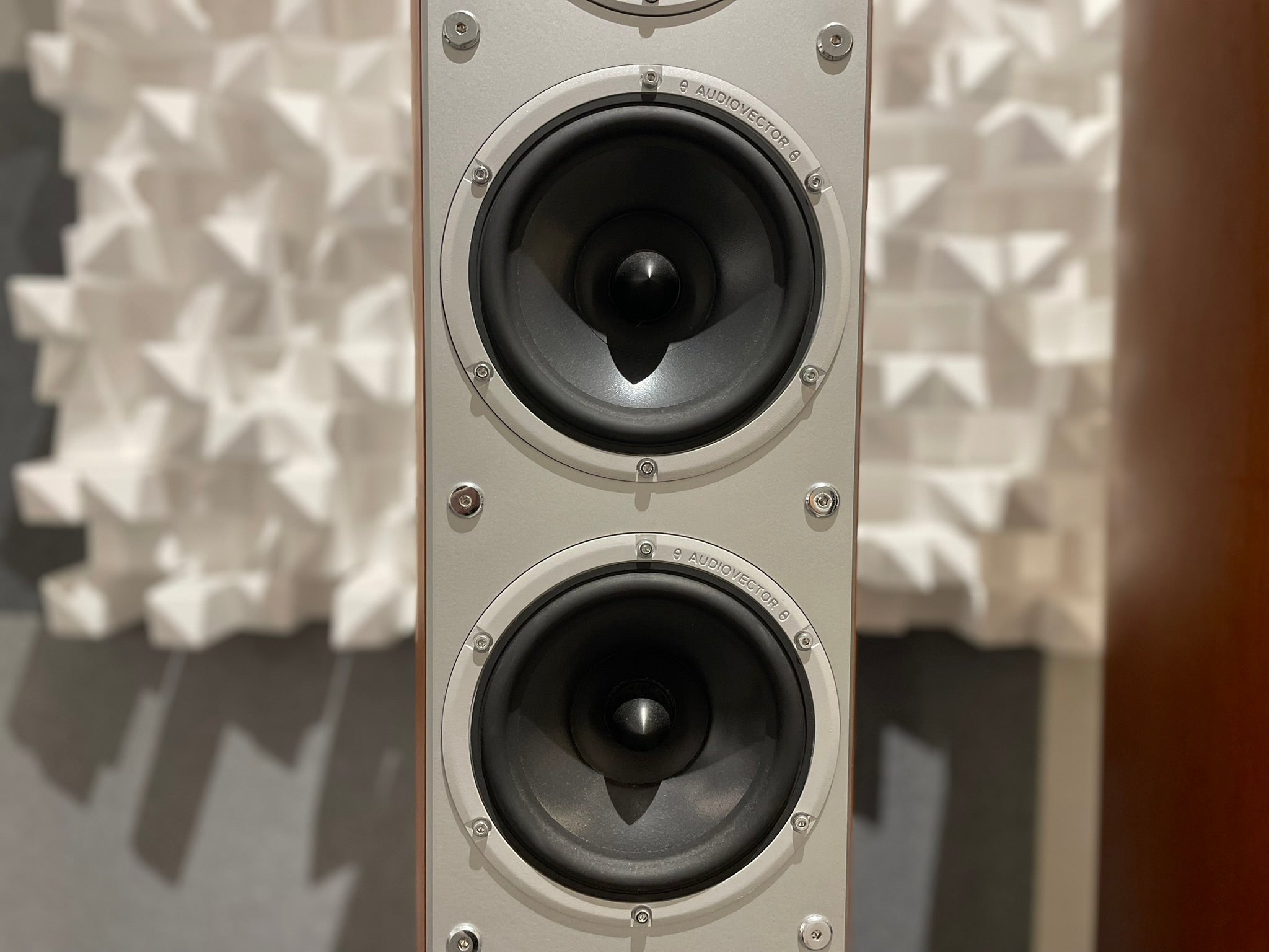 Audiovector Si6 Avantgarde Arrete Floorstanding Speakers - Consignment