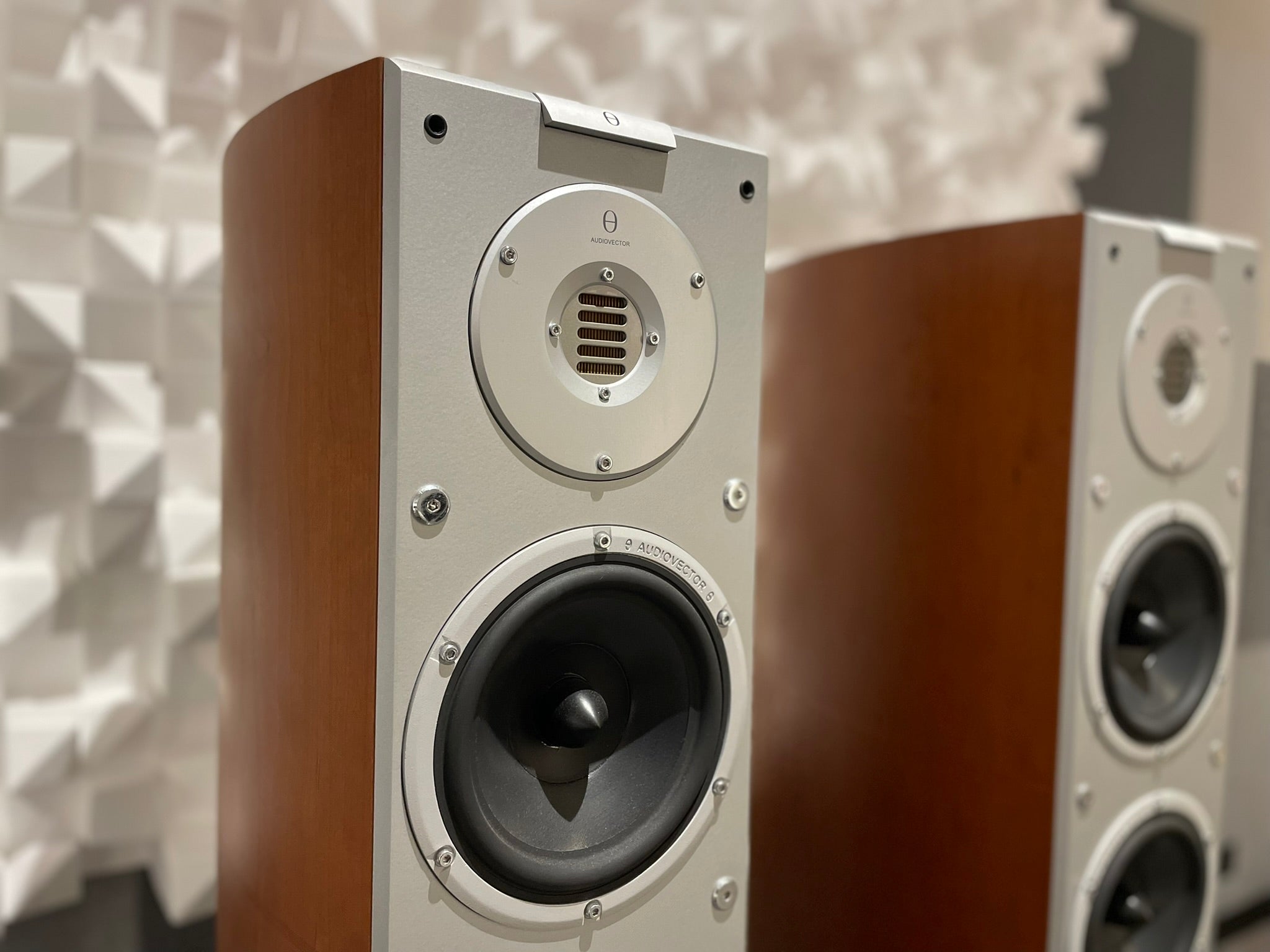 Audiovector Si6 Avantgarde Arrete Floorstanding Speakers - Consignment