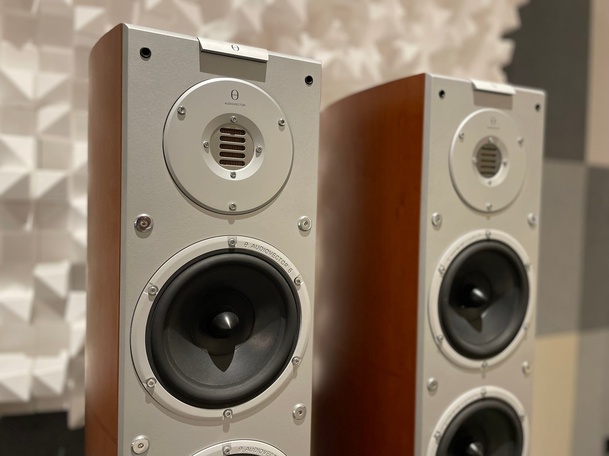 Audiovector Si6 Avantgarde Arrete Floorstanding Speakers - Consignment