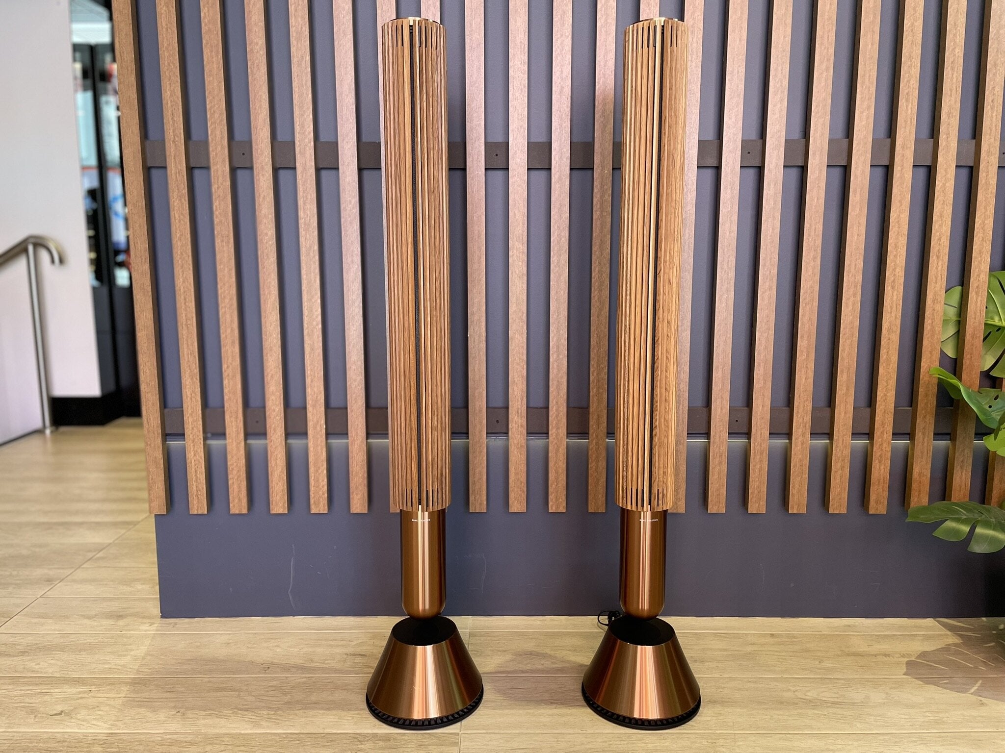 Bang & Olufsen Beolab 28 Wireless Stereo Speakers - Consignment