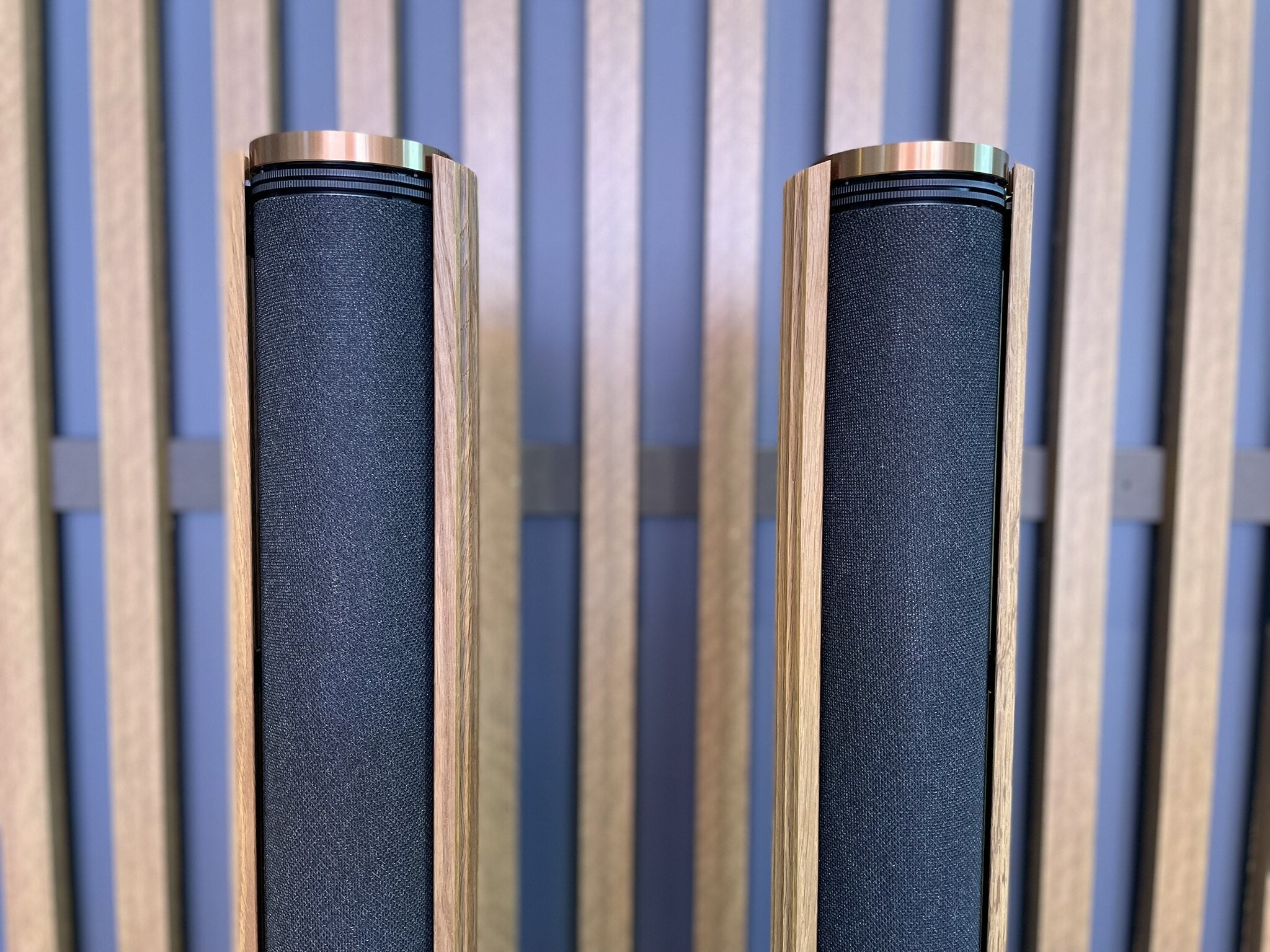 Bang & Olufsen Beolab 28 Wireless Stereo Speakers - Consignment