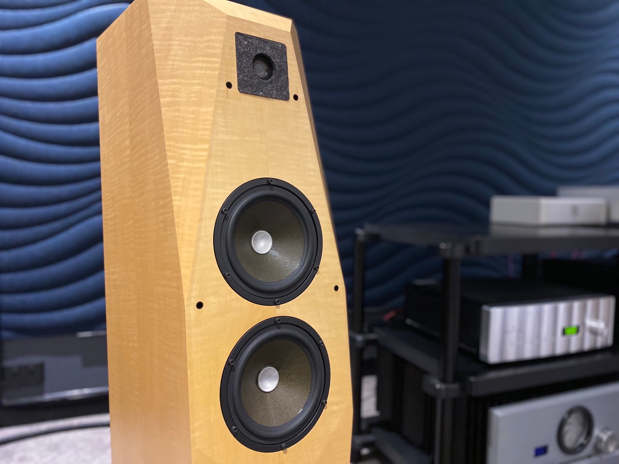 Avalon Acoustics Transcendent Speakers - Consignment