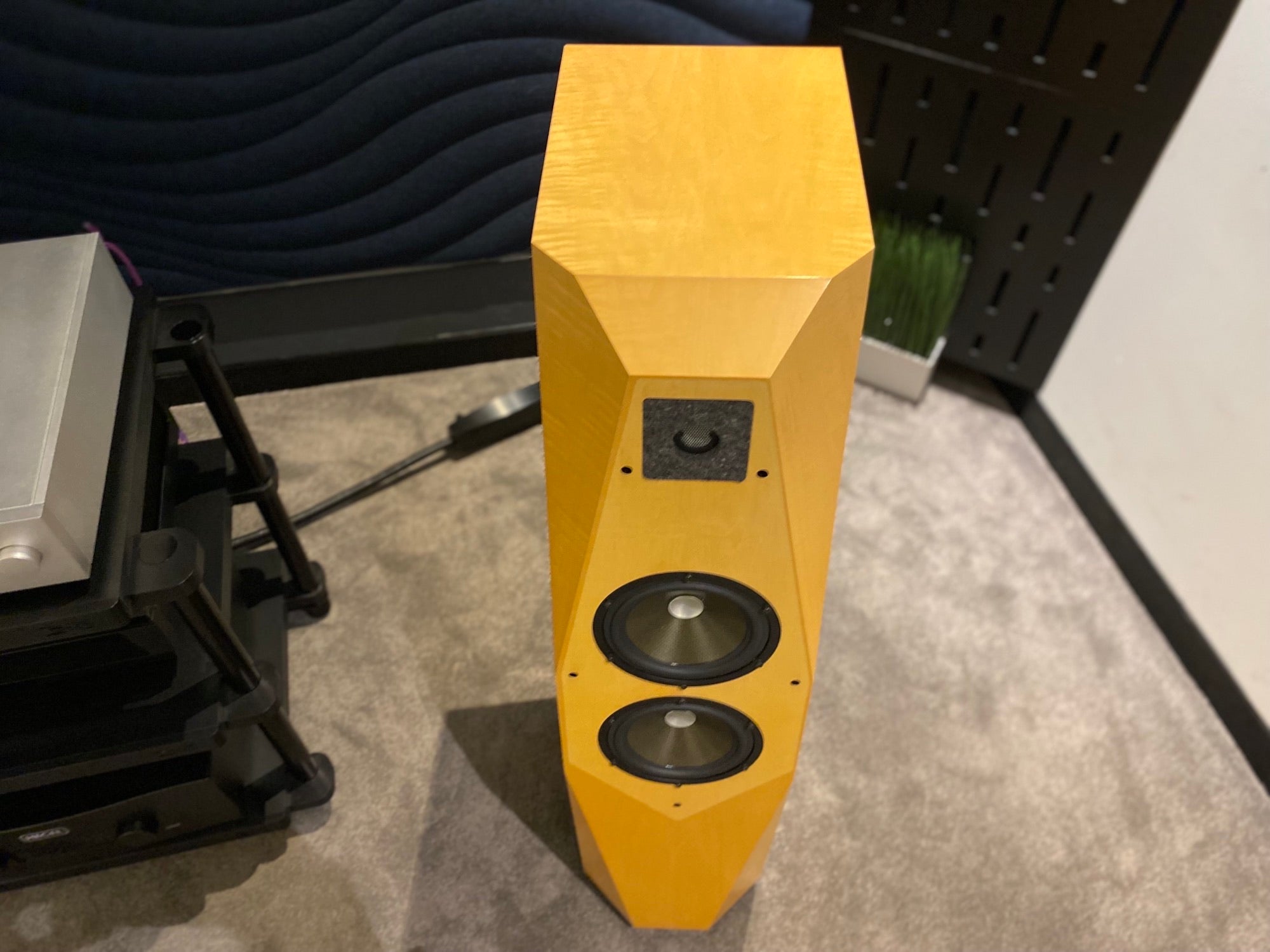 Avalon Acoustics Transcendent Speakers - Consignment