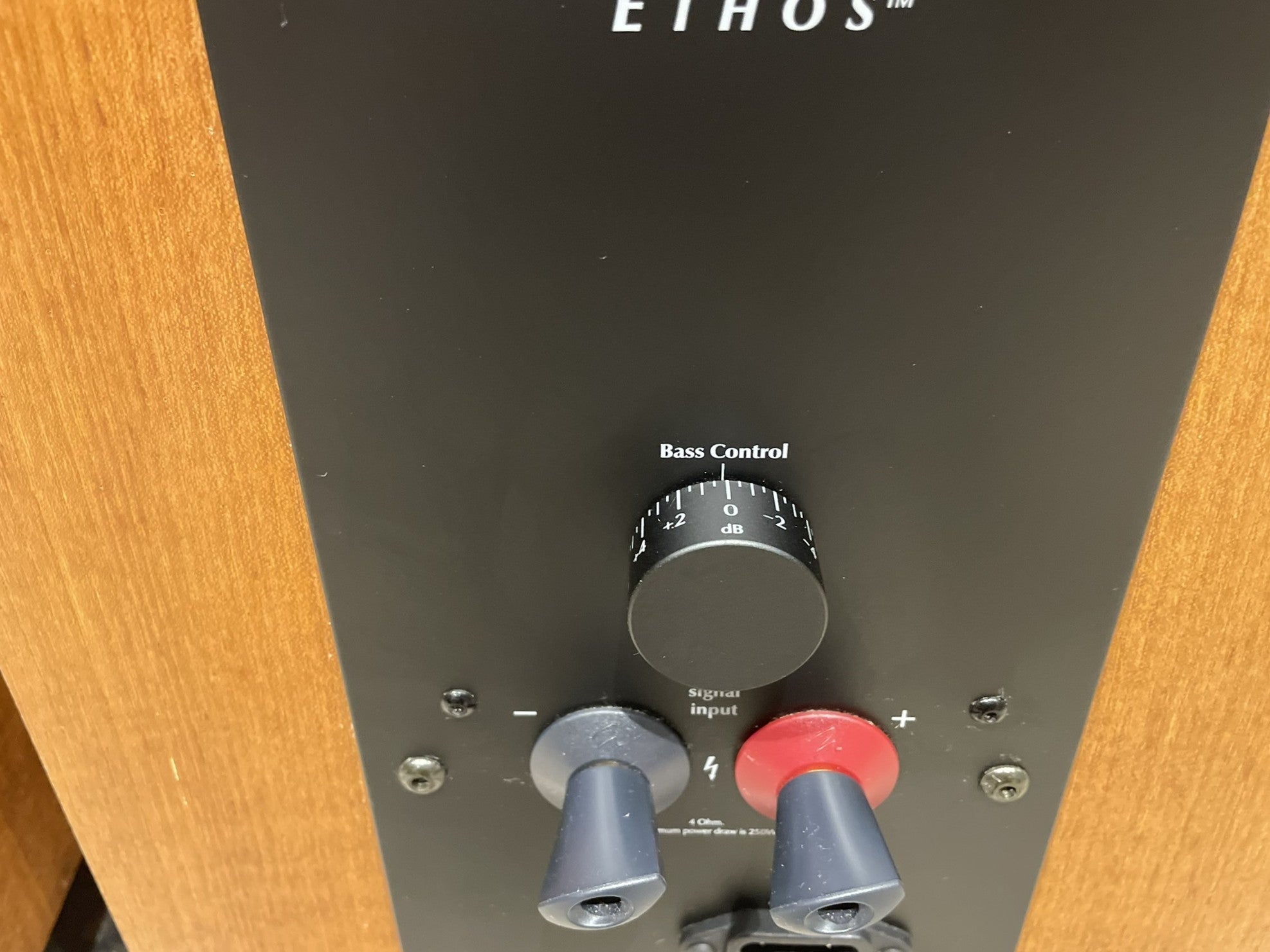 Martin Logan Ethos Electrostatic Speakers - Consignment