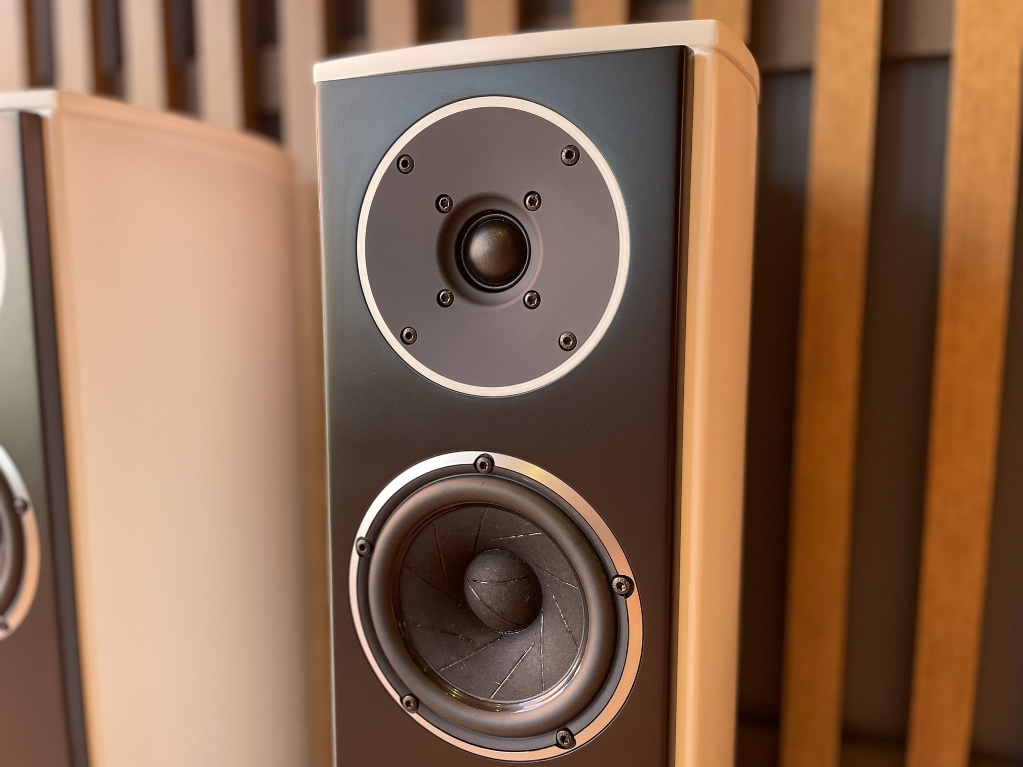 System Audio SA Pandion 20 Floorstanding Speakers - As Traded